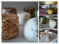 Queso de cabra pañamientos